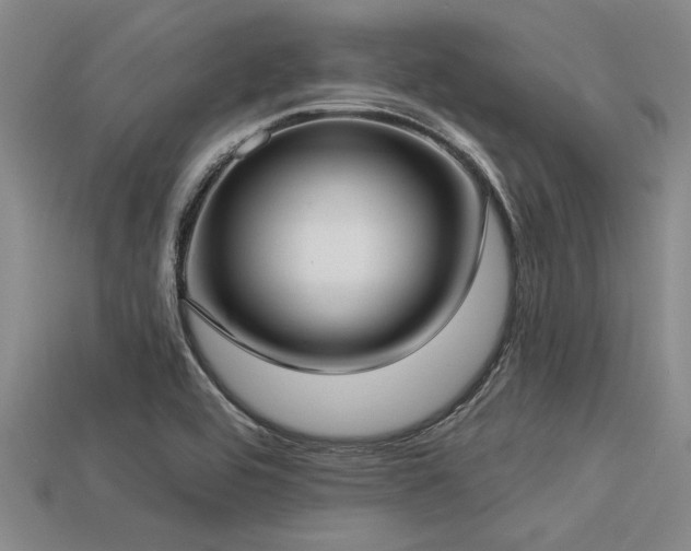 X0000113321464200909141345