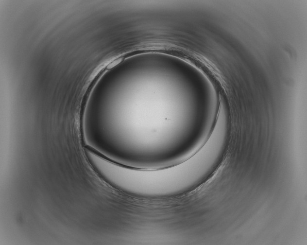 X0000113321465200909141345