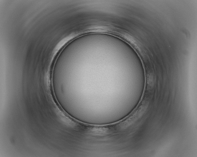 X0000113321466200909141345