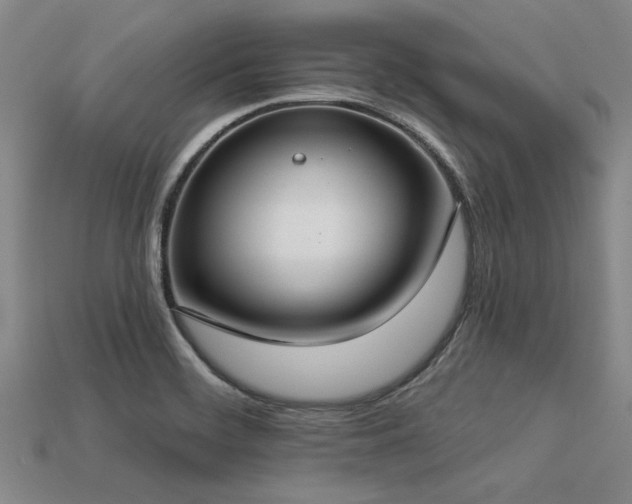 X0000113321468200909141345