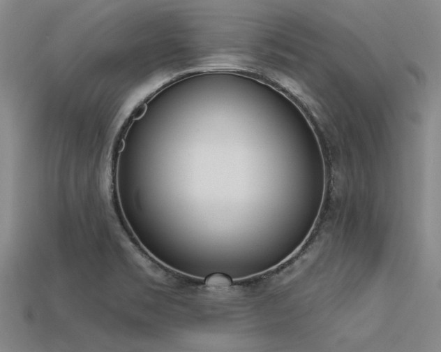 X0000113321469200909141345