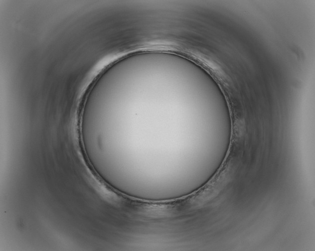 X0000113321470200909141345