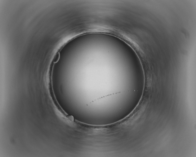 X0000113321471200909141345