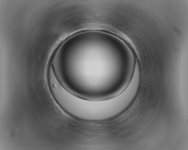X0000113321472200909141345