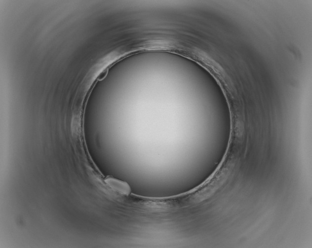 X0000113321473200909141345