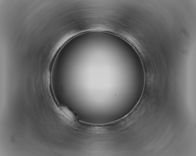 X0000113321476200909141345