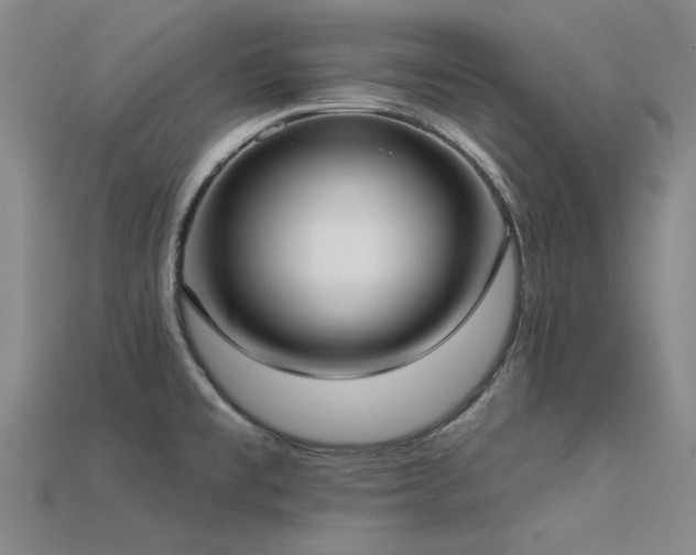 X0000113321477200909141345