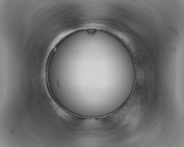 X0000113321478200909141345