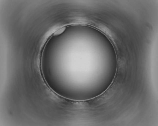 X0000113321480200909141345