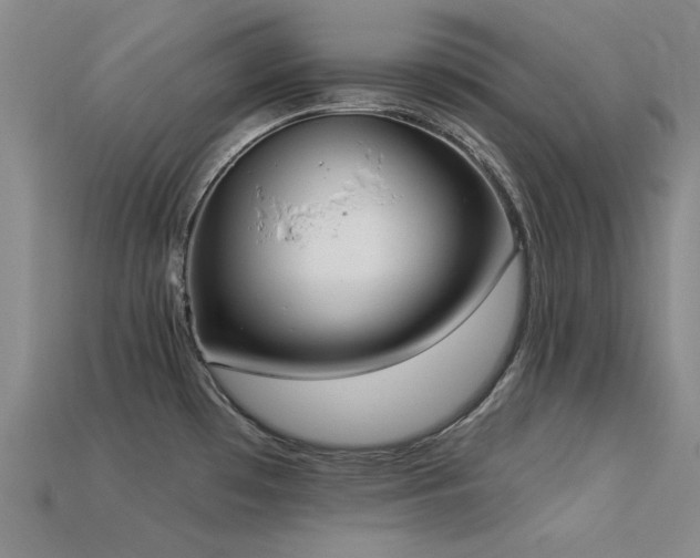 X0000113321481200909141345