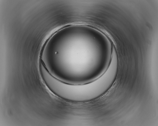 X0000113321485200909141345