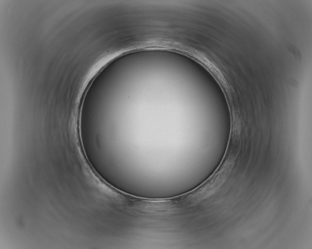 X0000113321486200909141345