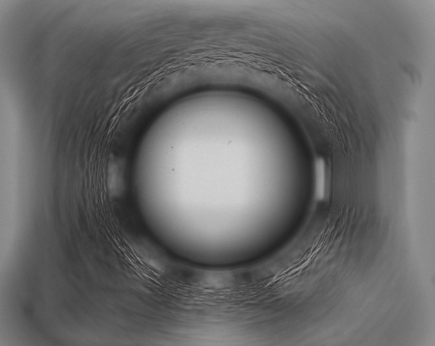 X0000113321491200909141344