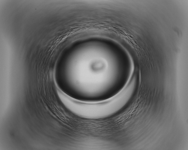 X0000113321492200909141344