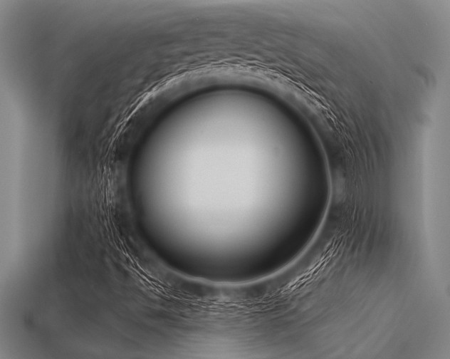 X0000113321494200909141344