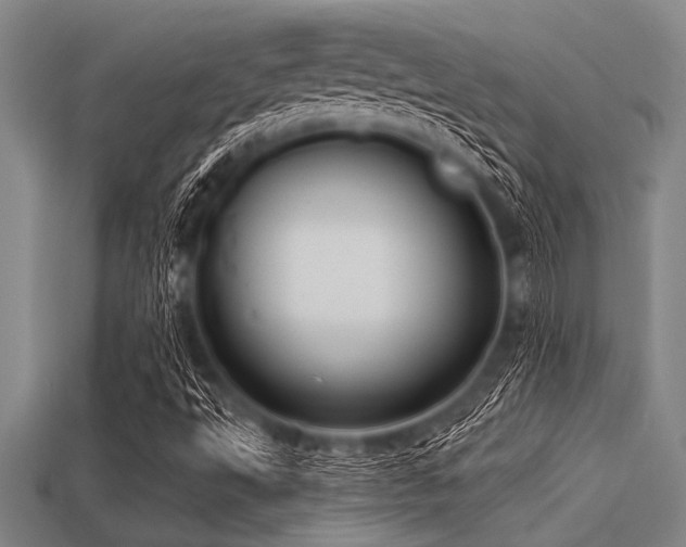 X0000113321495200909141344