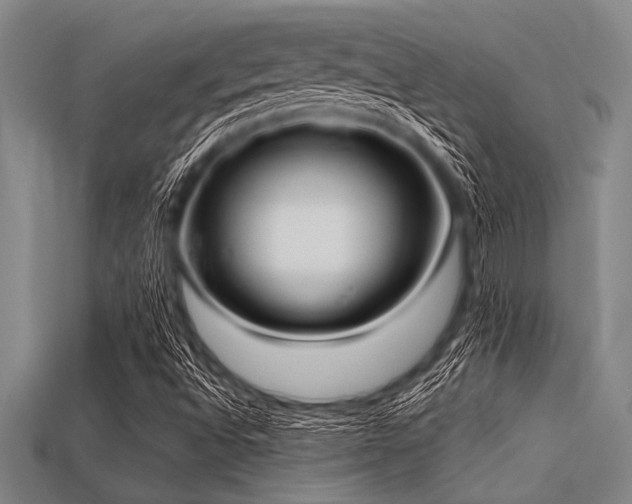 X0000113321496200909141344