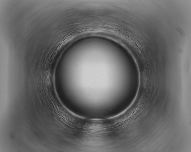 X0000113321497200909141344