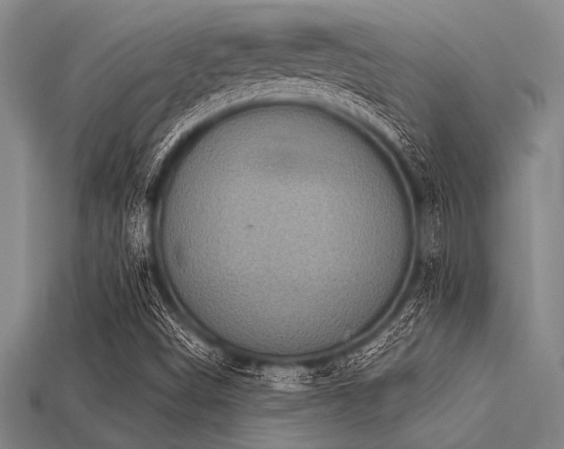 X0000113321498200909141344