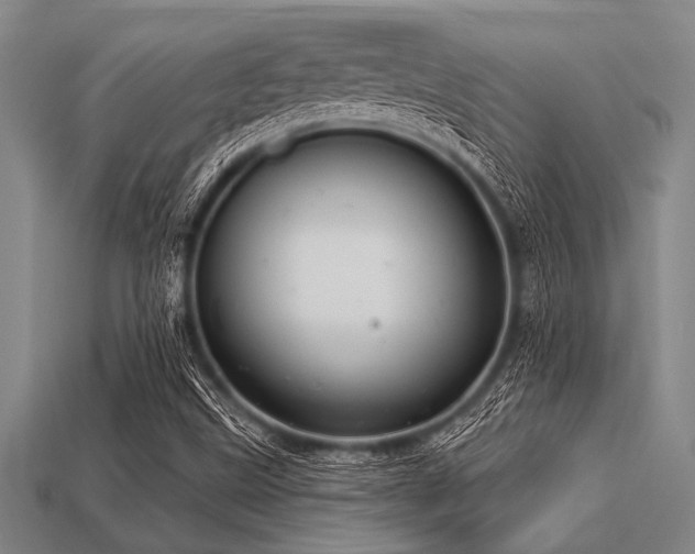 X0000113321499200909141344