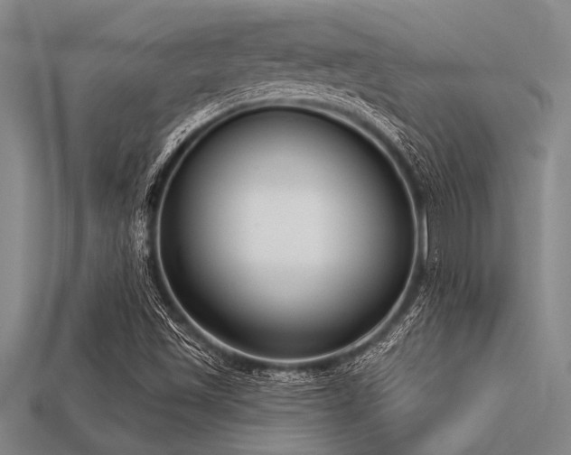X0000113321501200909141344