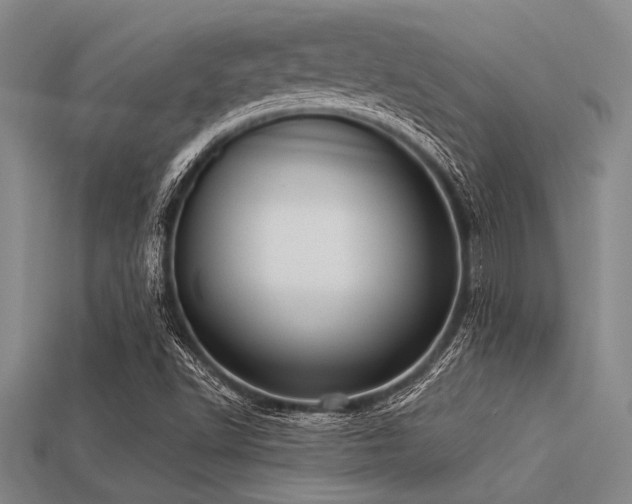 X0000113321502200909141344