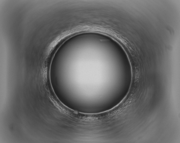 X0000113321503200909141344