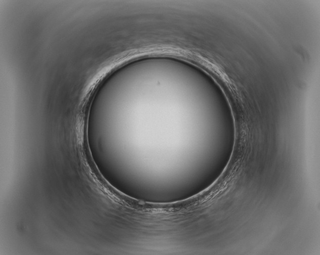 X0000113321504200909141344