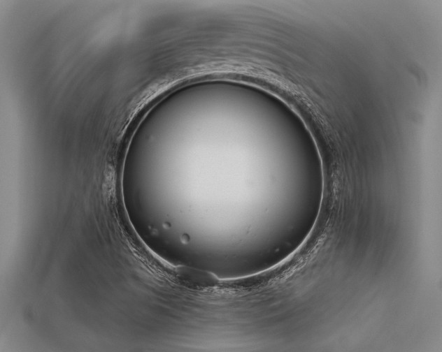 X0000113321505200909141344