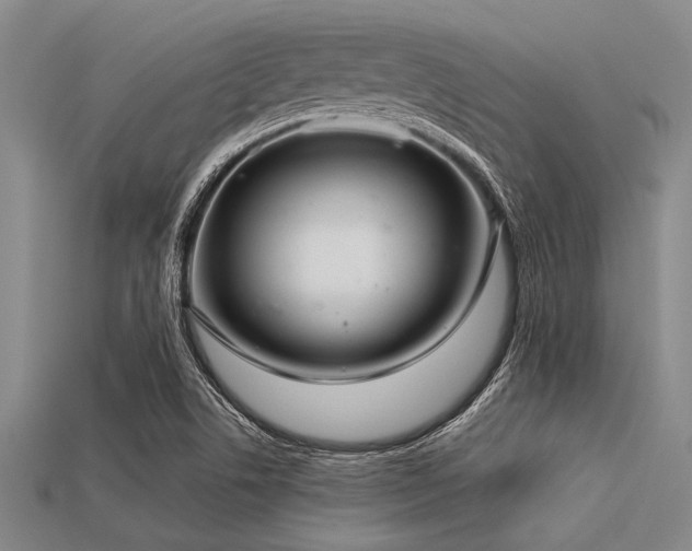 X0000113321506200909141344