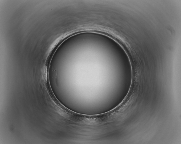 X0000113321509200909141344