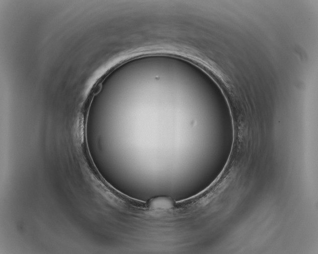 X0000113321510200909141344