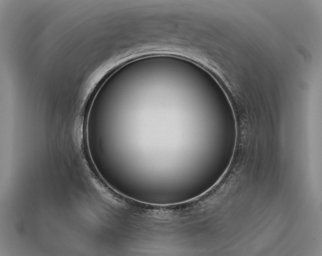 X0000113321511200909141344