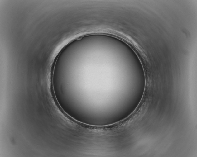 X0000113321512200909141344