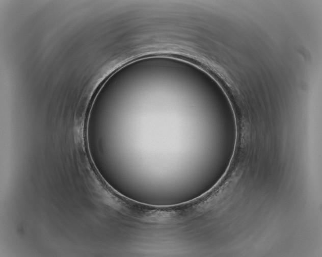 X0000113321513200909141344