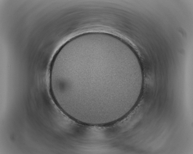 X0000113321514200909141344