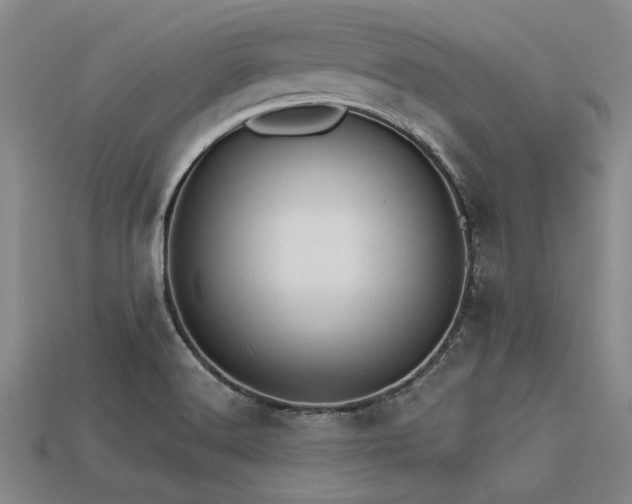 X0000113321516200909141344
