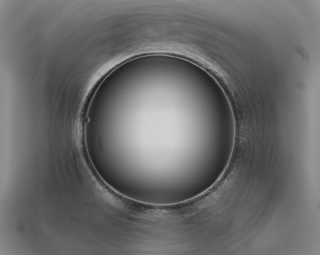 X0000113321517200909141344