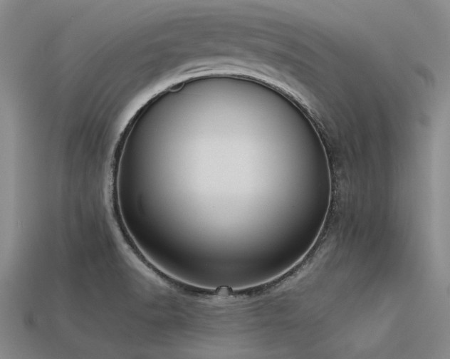 X0000113321518200909141344