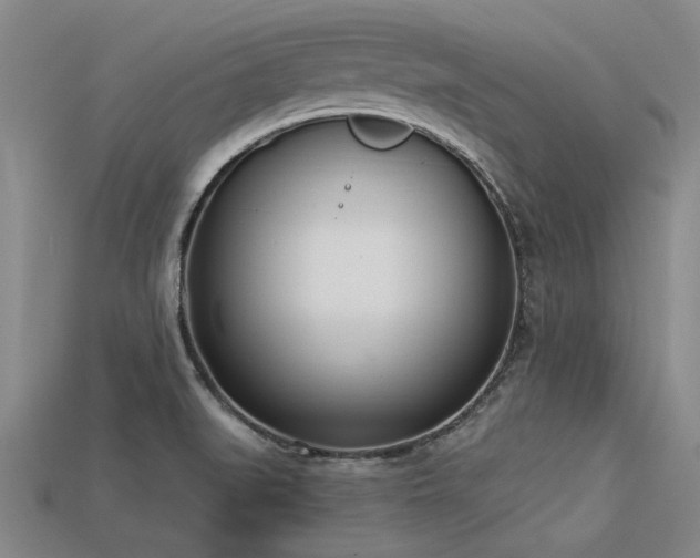X0000113321519200909141344