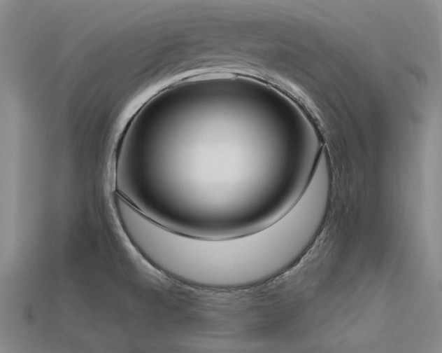 X0000113321520200909141344
