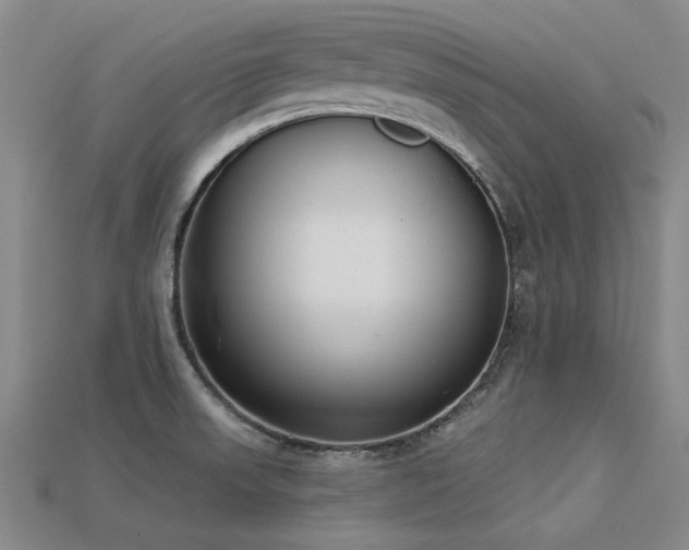 X0000113321523200909141344