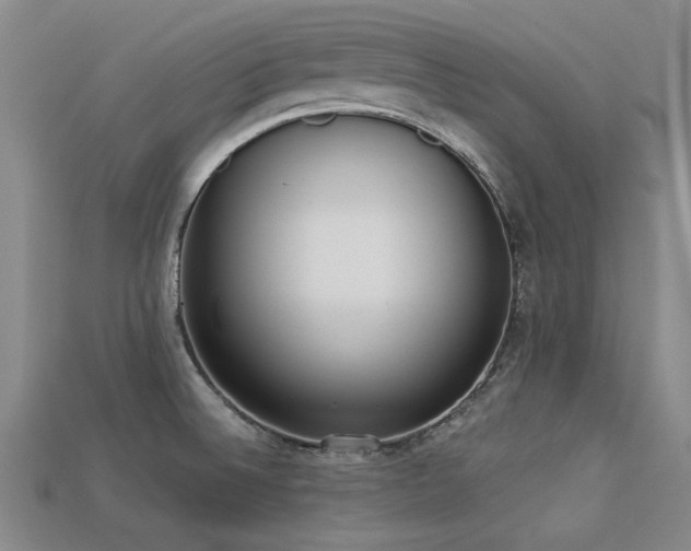 X0000113321524200909141344