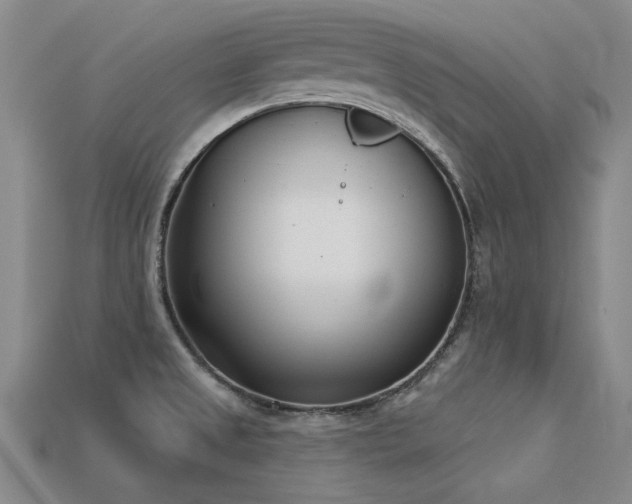 X0000113321525200909141344