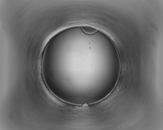 X0000113321526200909141345
