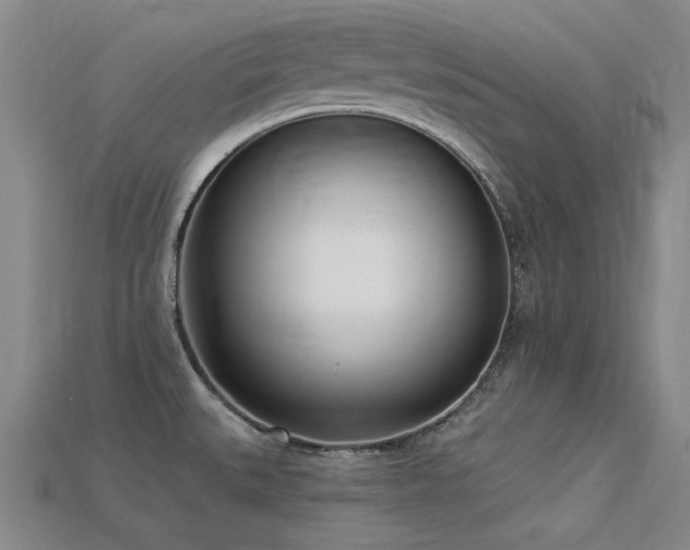 X0000113321527200909141345