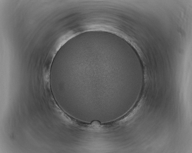 X0000113321529200909141345