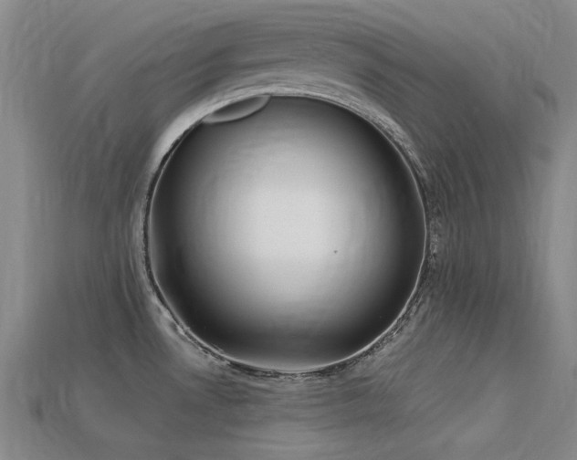 X0000113321530200909141345