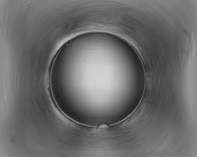 X0000113321531200909141345