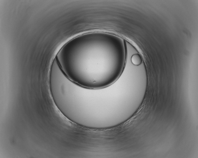 X0000113321532200909141345